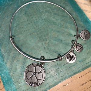 Friendship Alex and Ani Bracelet